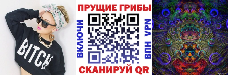 Галлюциногенные грибы Psilocybe  Купить закладки  Самара 